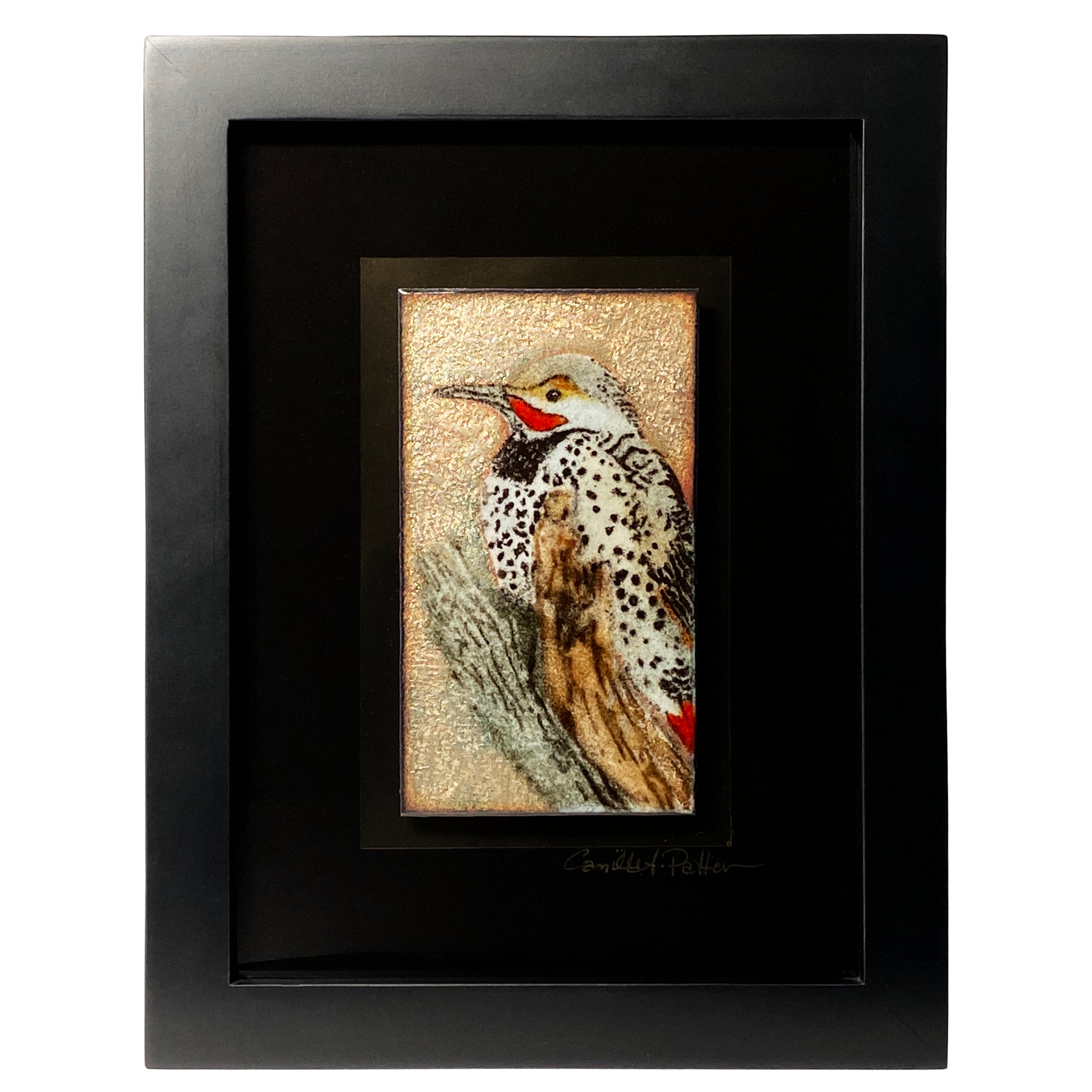 Camille Patton Northern Flicker from the North American Bird Series Vitreous Enamel Framed Wall Art