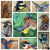 Camille Patton Fine Art Collection Bird Series Wall Art Collection C01