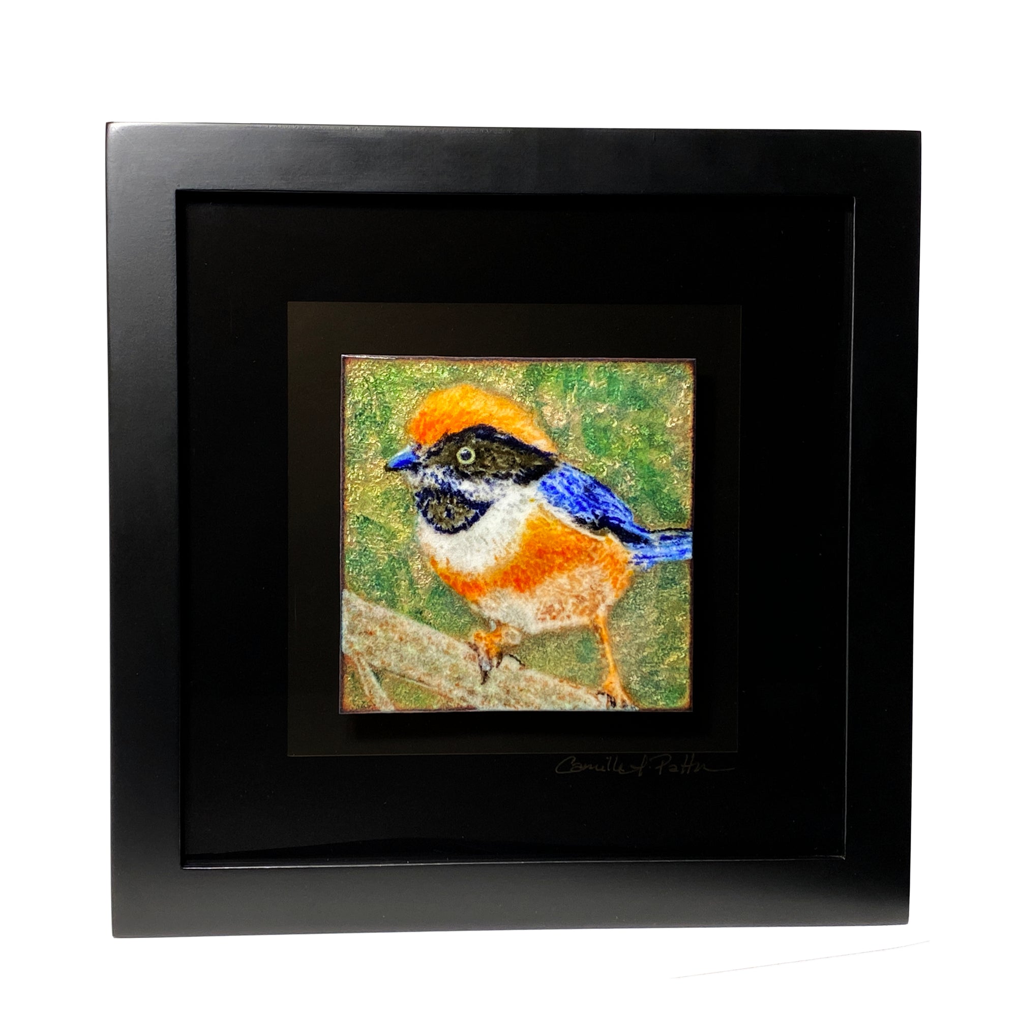 Camille Patton Black Throated Tit from the Exotic Bird Series Vitreous Enamel Framed Wall Art