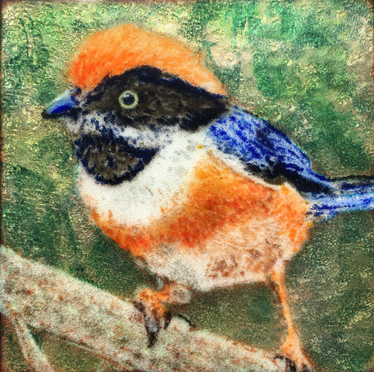 Camille Patton Black Throated Tit from the Exotic Bird Series Vitreous Enamel Framed Wall Art