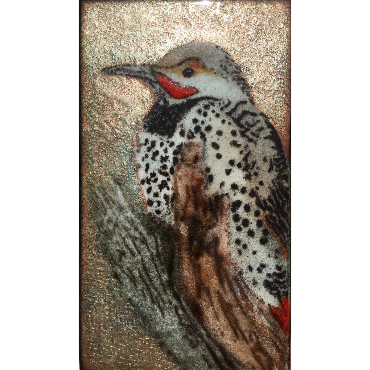 Camille Patton Northern Flicker from the North American Bird Series Vitreous Enamel Framed Wall Art