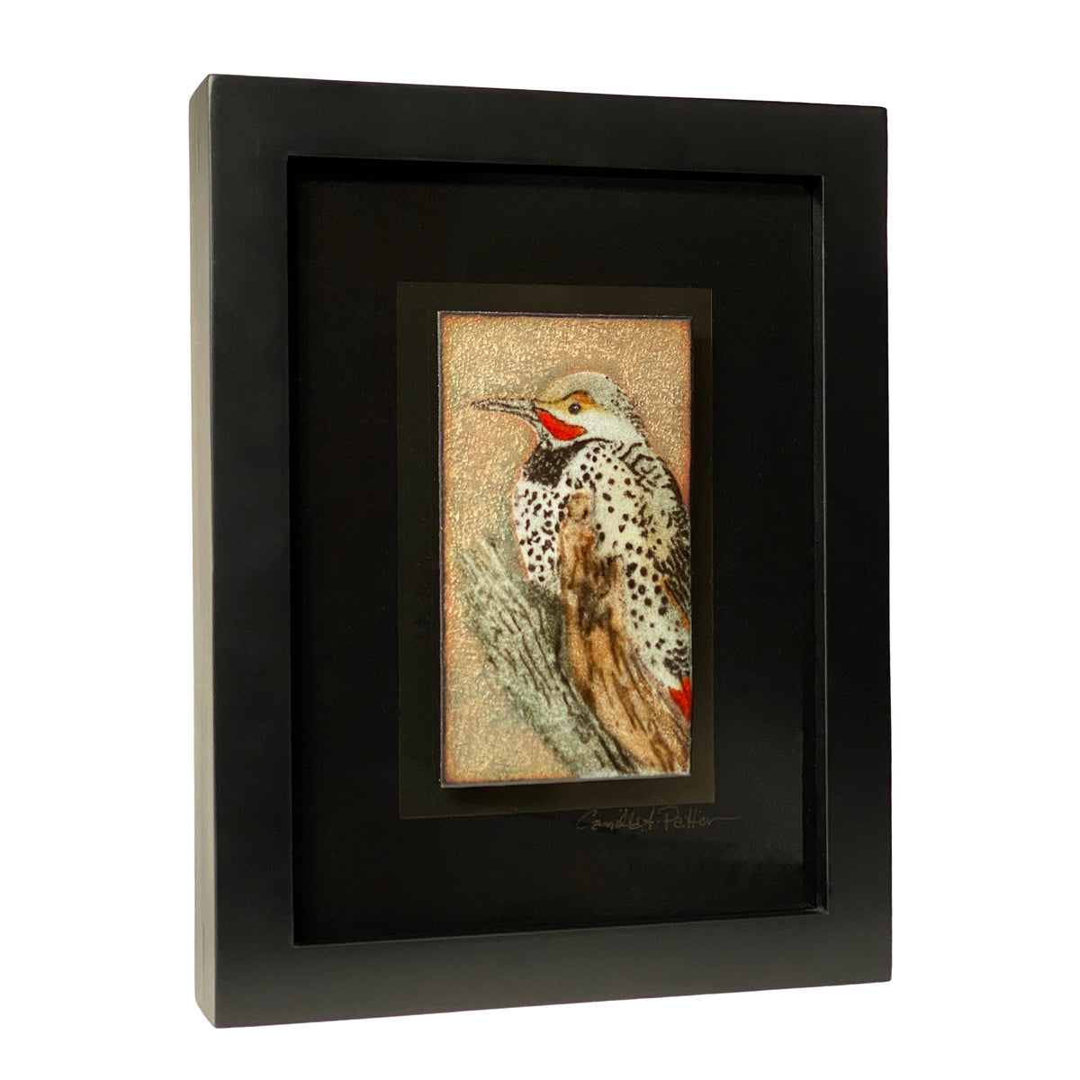 Camille Patton Northern Flicker from the North American Bird Series Vitreous Enamel Framed Wall Art